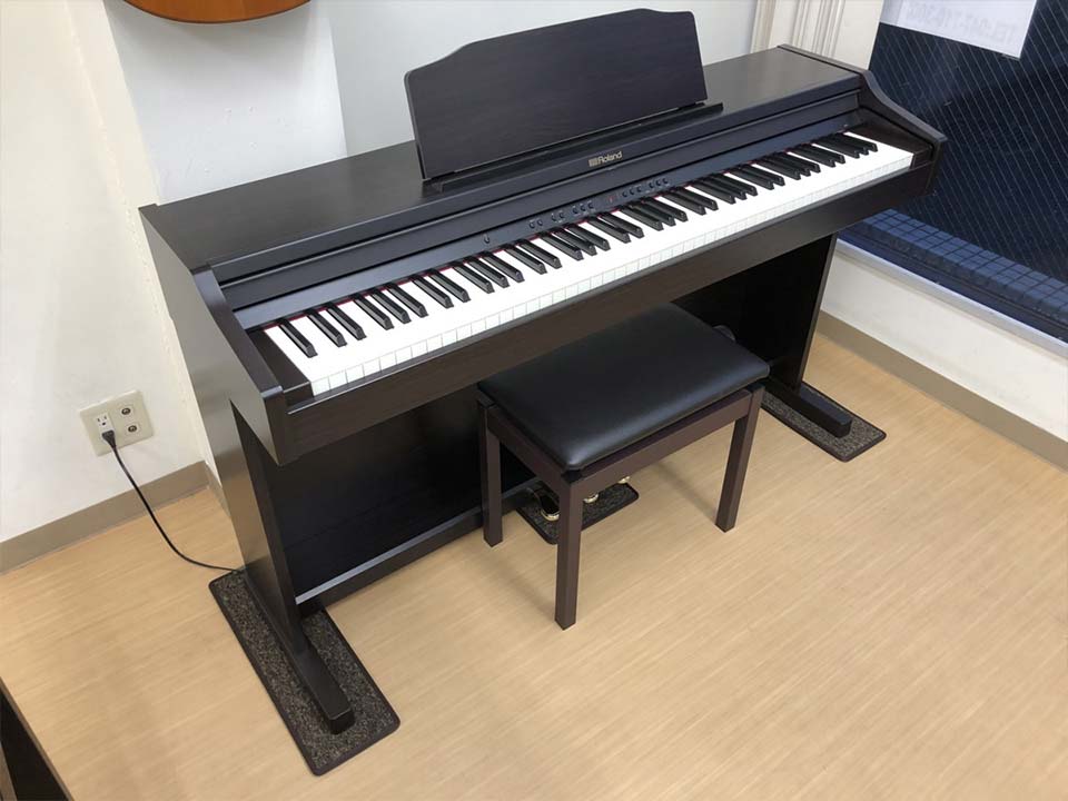 Roland RP-501R